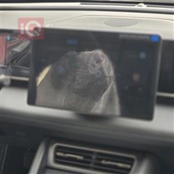 بي واي دي كوين L DM-i